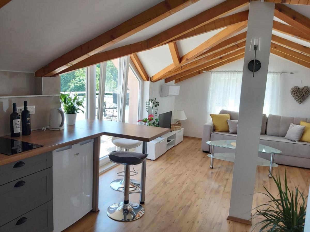 Comfortable Apartment Near Opatija Apartment