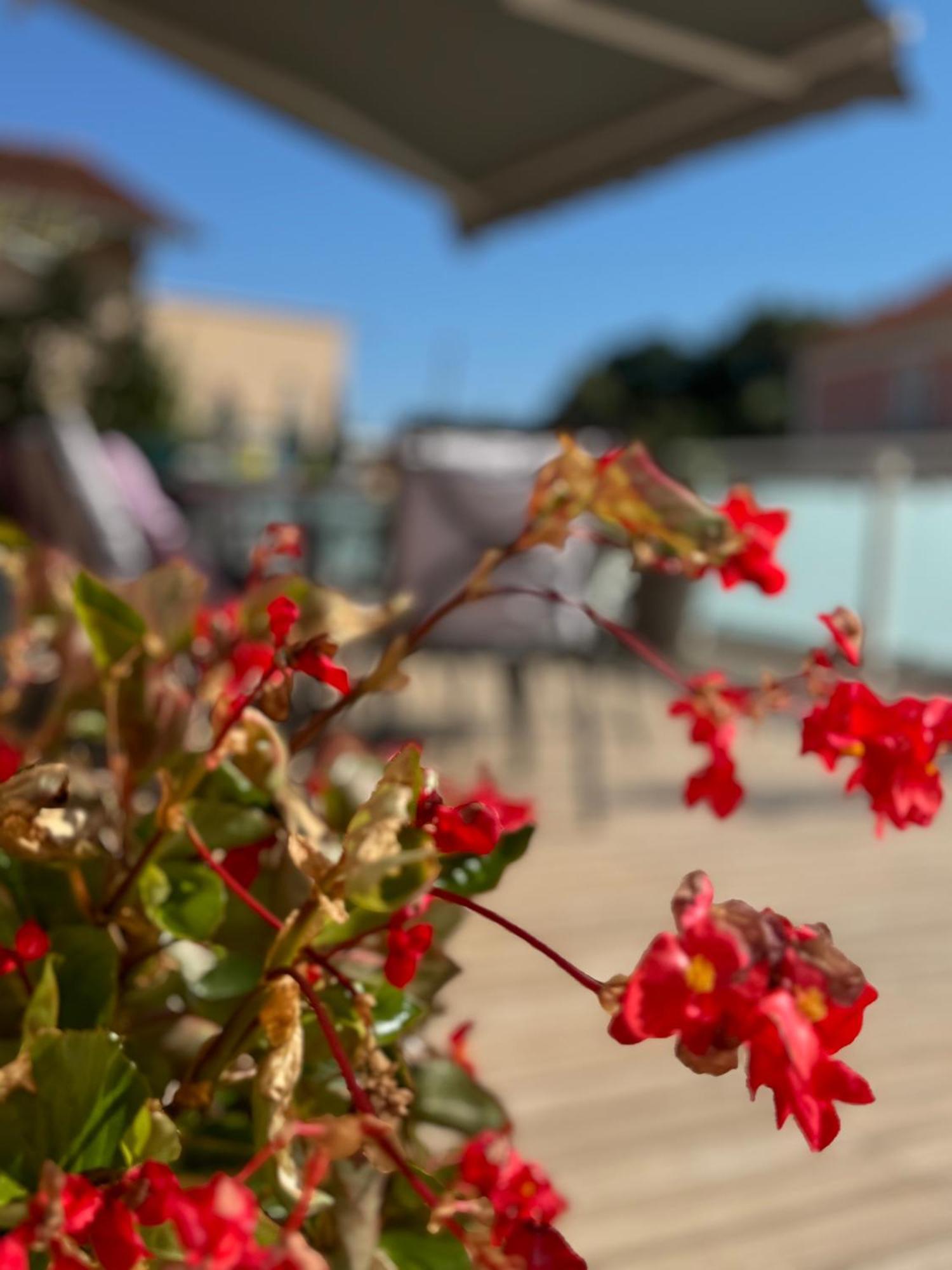 Comfortable Apartment Near Opatija Apartment Matulji